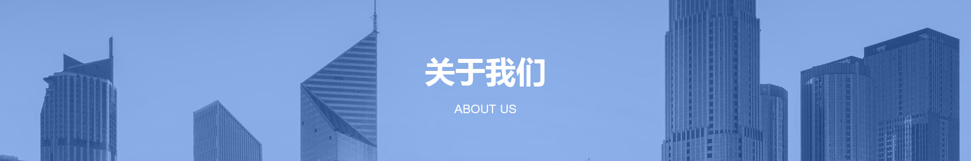 公司简介